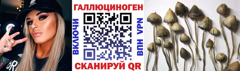 Галлюциногенные грибы мицелий  МЕГА ссылка  Тайга  купить наркоту 